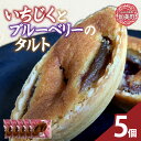 【ふるさと納税】いちじくとブルーベリーのタルト 5個 | oe-icbltrt5s ( ふるさと納税 タルト ケーキ スイーツ お菓子 洋菓子 フルーツスイーツ...