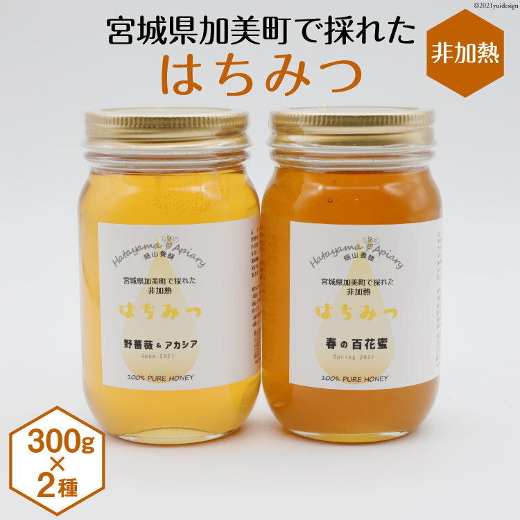 【ふるさと納税】＜季節の花とミツバチからの贈り物＞非加熱はちみつ300g×2種セット《数量限定》＜畑山養蜂＞【宮城県加美町】