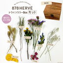 【ふるさと納税】「摘みたてお花」で作るドライフラワーBox【キット】 / 878HERVE ( ハナヤエルベ ) / 宮城県 加美町