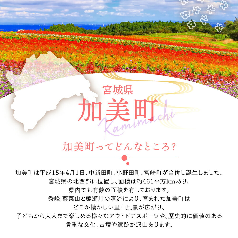 【ふるさと納税】【ミシュラン3つ星店も使用】ミソルト50g [今野醸造 宮城県 加美町 44581364] 味噌パウダー 粉末調味料 調味料 簡単