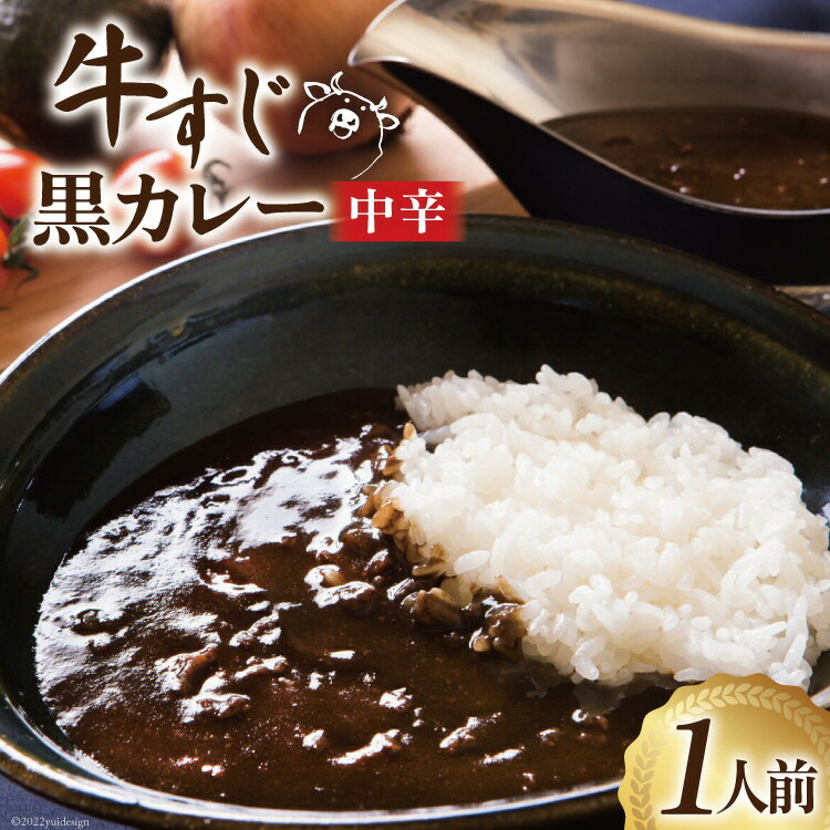 カレー 宮城 牛すじ 黒カレー 1人前(200g) [やくらいフーズ 宮城県 加美町 44581326] 牛すじカレー ブラックカレー レトルト 簡単