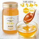 【ふるさと納税】<季節の花とミツバチからの贈り物>非加熱はちみつ300g 数量限定 はちみつ / 畑山養蜂 / 宮城県 加美町