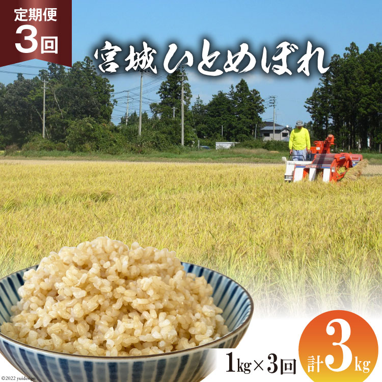 【ふるさと納税】定期便 3ヶ月 簡単に炊ける 宮城県産 ひとめぼれ 発芽玄米 計3kg(1kg×3回) [菅原商店 宮城県 加美町 44581381] お米 米 玄米 発芽玄米