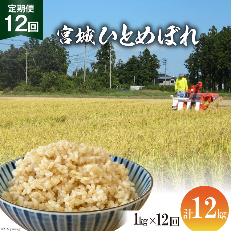 【ふるさと納税】定期便 12ヶ月 簡単に炊ける 宮城県産 ひ