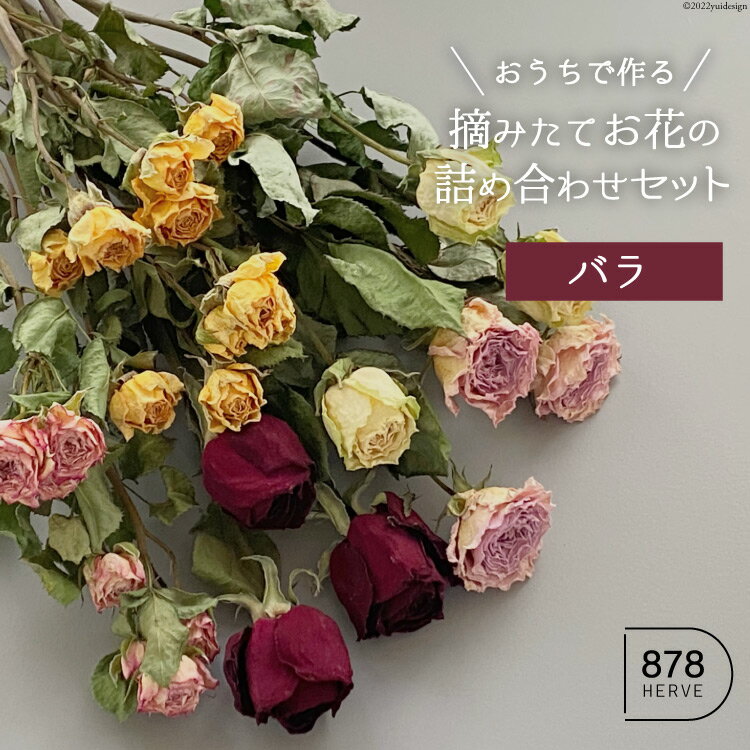 「摘みたてお花」のドライフラワー キット バラ 5種 [878HERVE ハナヤエルベ 宮城県 加美町 44581437] ドライフラワー インテリア 花束 花材 詰め合わせ 期間限定