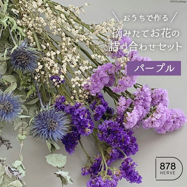 「摘みたてお花」のドライフラワー キット パープル系 5種 [878HERVE ハナヤエルベ 宮城県 加美町 44581438] ドライフラワー インテリア 花束 花材 詰め合わせ 期間限定