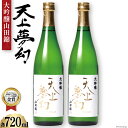 【ふるさと納税】＜明治39年創業＞中勇酒造店厳選「天上夢幻」大吟醸山田錦　720ml×2本 [中勇酒造店 宮城県 加美町 44580965]