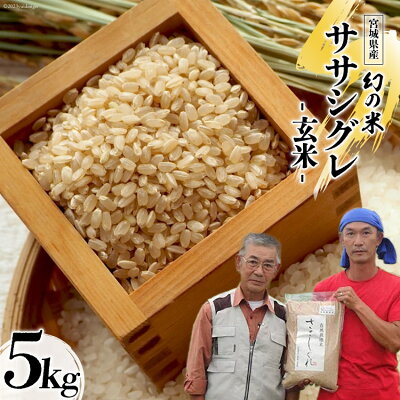 楽天ふるさと納税　【ふるさと納税】米 令和5年産 希少品種米 ササシグレ 玄米 5kg [長沼 太一 宮城県 加美町 44581414] お米 白米 ご飯 希少