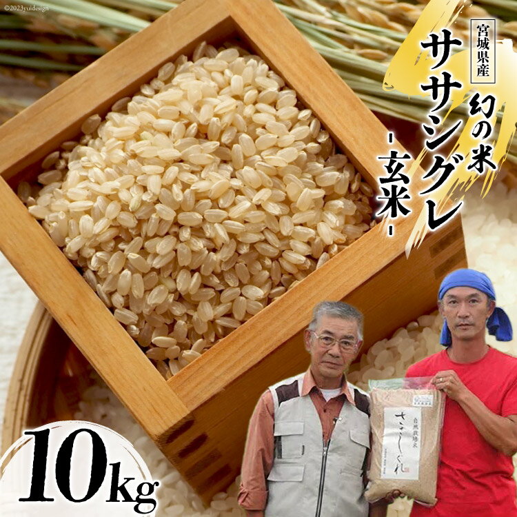 米 令和5年産 希少品種米 ササシグレ 玄米 10kg お米 / 長沼 太一 / 宮城県 加美町