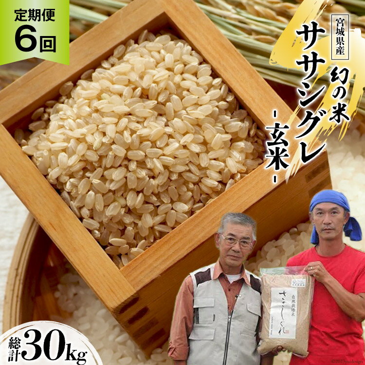 楽天宮城県加美町【ふるさと納税】6回 定期便 希少品種米 ササシグレ 玄米 5kg×6回 総計30kg [長沼 太一 宮城県 加美町 44581419]