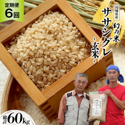 6回 定期便 希少品種米 ササシグレ 玄米 10kg×6回 総計60kg / 長沼 太一 / 宮城県 加美町