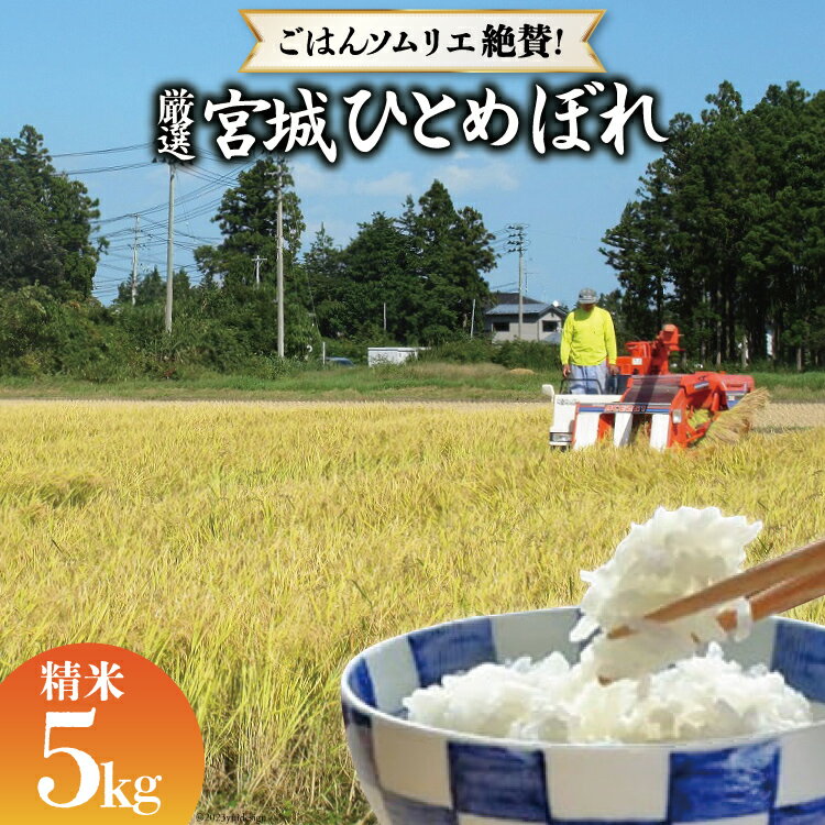 【ふるさと納税】【ごはんソムリエ絶賛！】厳選宮城県産ひとめぼれ 精米5kg＜菅原商店＞【宮城県加美町】