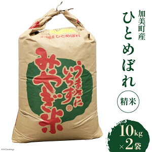 【ふるさと納税】米 加美町産 ひとめぼれ 精米 10kg×2袋 [JA加美よつば （営農企画課） 宮城県 加美町 44580959]