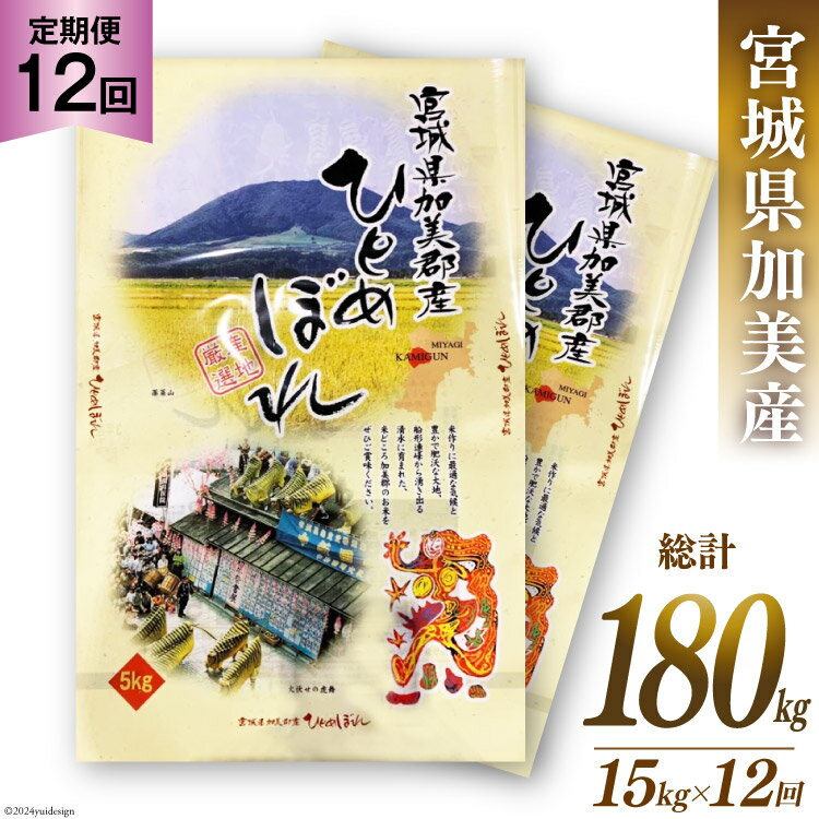 【ふるさと納税】【定期便 12回】米 令和5年 宮城県加美産