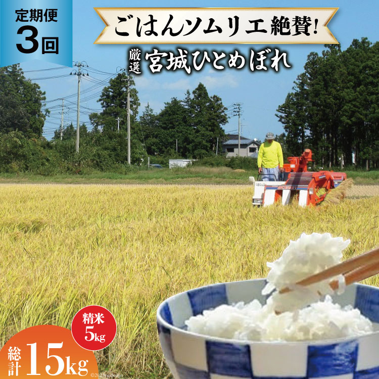 米 【定期便】厳選ひとめぼれ 精米5kg 全3回 [菅原商店 宮城県 加美町 44581386] こめ ご飯 精米