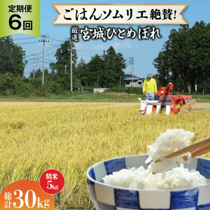 米 【定期便】厳選ひとめぼれ 精米5kg 全6回 [菅原商店 宮城県 加美町 44581387] こめ ご飯 精米