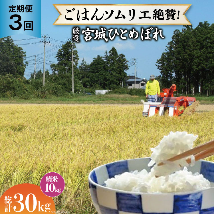 米 『定期便』厳選宮城ひとめぼれ 精米10kg 全3回 [菅原商店 宮城県 加美町 44580972]