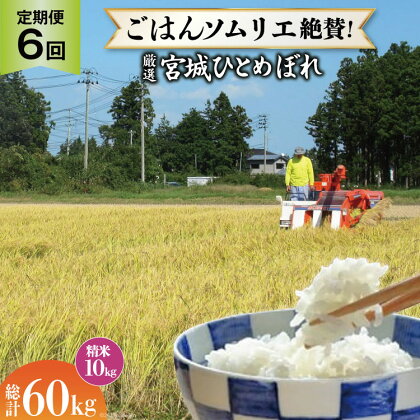 米 『定期便』厳選宮城ひとめぼれ 精米10kg 全6回 [菅原商店 宮城県 加美町 44580973]