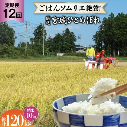 米 『定期便』厳選宮城ひとめぼれ 精米10kg 全12回 [菅原商店 宮城県 加美町44580974 ]