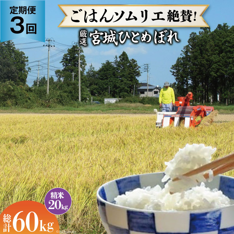 米 『定期便』厳選宮城ひとめぼれ 精米20kg 全3回 [菅原商店 宮城県 加美町 44580975]