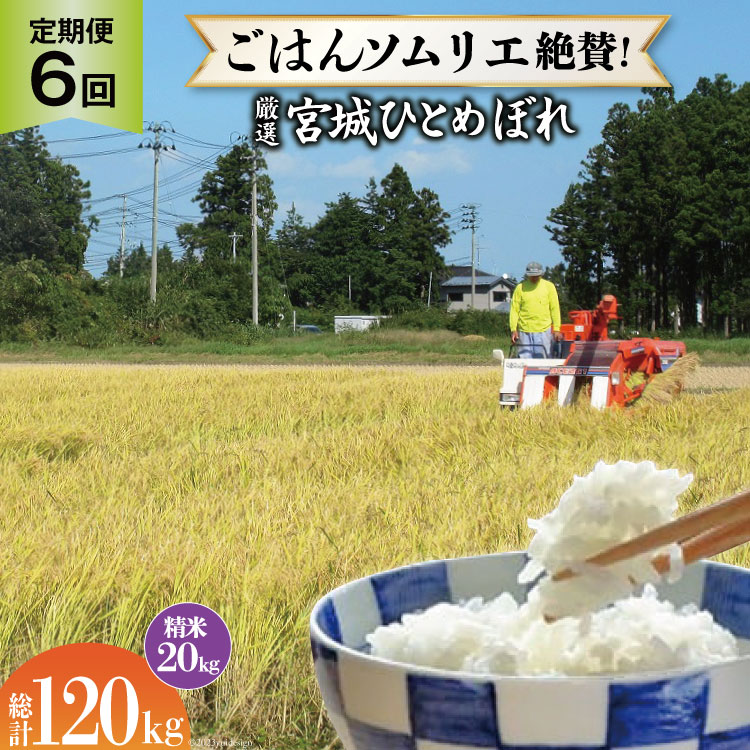 米 『定期便』厳選宮城ひとめぼれ 精米20kg 全6回 [菅原商店 宮城県 加美町44580976]