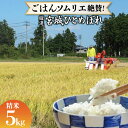 宮城産 ひとめぼれ 【ふるさと納税】【ごはんソムリエ絶賛！】米 厳選宮城県産ひとめぼれ 精米5kg [菅原商店 宮城県 加美町 44580979]