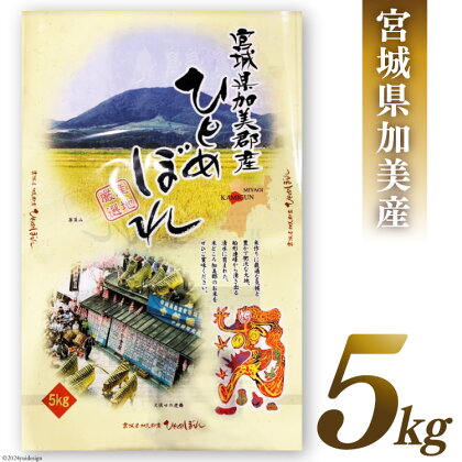 米 令和5年 宮城県加美郡産 ひとめぼれ 5kg [カメイ 宮城県 加美町 44581013] お米 こめ コメ 精米 白米