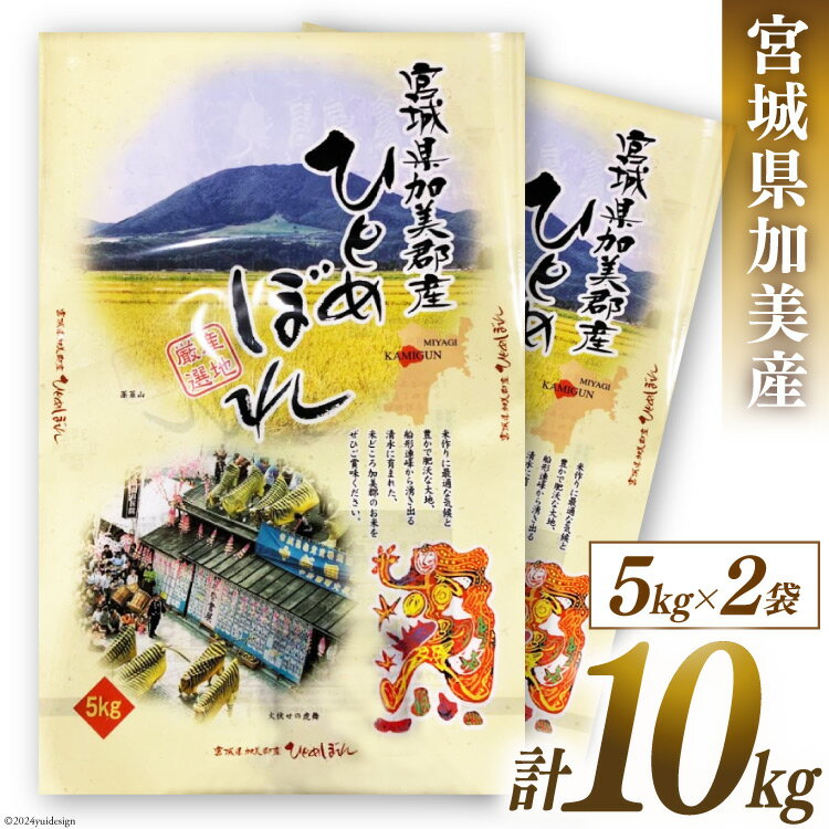 【ふるさと納税】米 令和5年 宮城県加美郡産 ひとめぼれ 5kg×2袋 計10kg [カメイ 宮城県 加美町 44581014] お米 こめ コメ 精米 白米