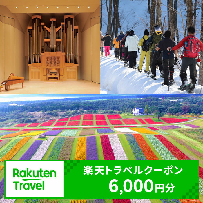 【ふるさと納税】宮城県加美町の対象施設で使える楽天トラベルクーポン 寄付額20,000円