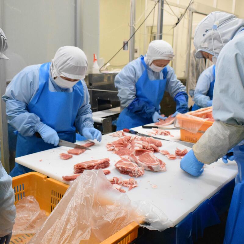 宮城県涌谷町の【ふるさと納税】 宮城県産 仙台牛 ヒレ ステーキカット 300g ( 約150g × 2枚 ) 2食入り 肉 牛肉 和牛 国産 冷凍｜アングル3