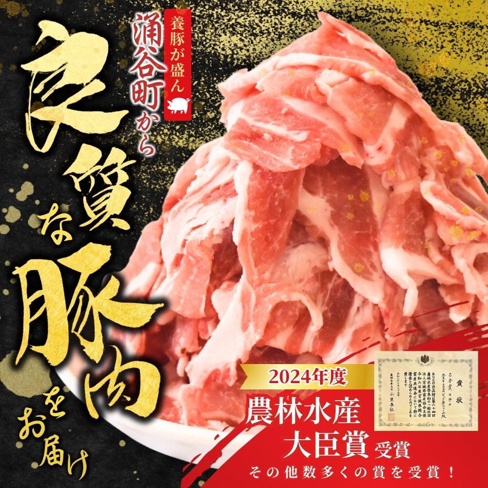【ふるさと納税】 豚肉 切り落とし 涌谷町産 宮城野ポーク 豚切り落とし 500g 1kg 2kg 選べる容量 豚肉 豚 ぶた 国産豚 肉 小分け 冷凍 細切れ こま切れ 小間切れ 焼き肉 BBQ 冷しゃぶ 肉じゃが 豚丼 生活応援 宮城県 東北 8000円 10000円 15000円 送料無料