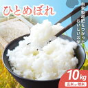 【ふるさと納税】 宮城県涌谷町産 ひとめぼれ 10kg 選べる白米or玄米 ※2025年10月中旬より順次発送予定 | 米 お米 こめ コメ 玄米 ご飯 ライス...