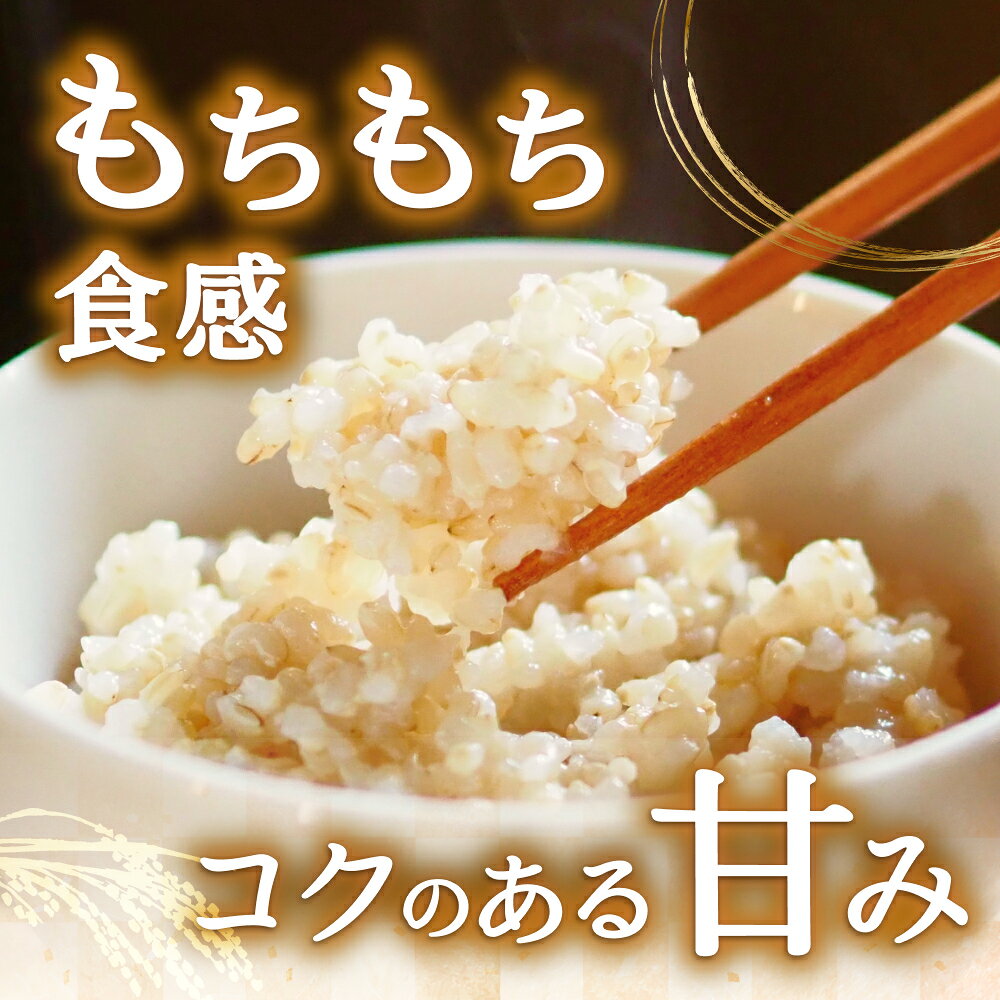 【ふるさと納税】 ≪新米予約≫ 2026年10月下旬より順次発送予定 令和8年産 つや姫　30kg　玄米 【選べる配送月】