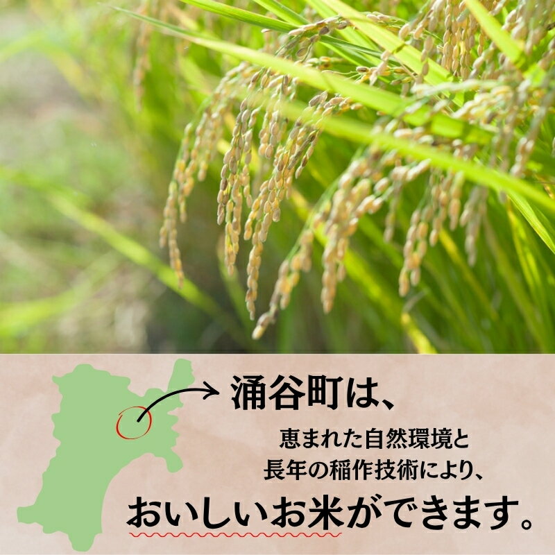 サンプル画像3