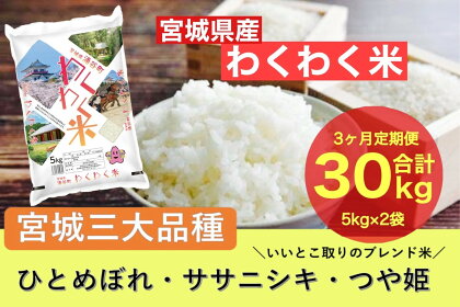 【3ヶ月定期便】宮城県産三大銘柄いいとこ取りブレンド米 わくわく米 5kg×2袋入 計30kg　【定期便・ お米 精米 白米 ひとめぼれ ササニシキ つや姫 宮城県産 三大銘柄 】