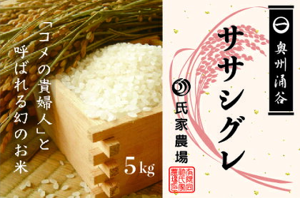 令和5年産 氏家農場の幻のお米「ササシグレ」5kg【 精米 白米 ご飯 栽培期間中 化学肥料 農薬 不使用 希少 主食 おにぎり お弁当 炭水化物 幻のお米 甘み あっさり 】※2023年10月中旬頃より順次発送予定