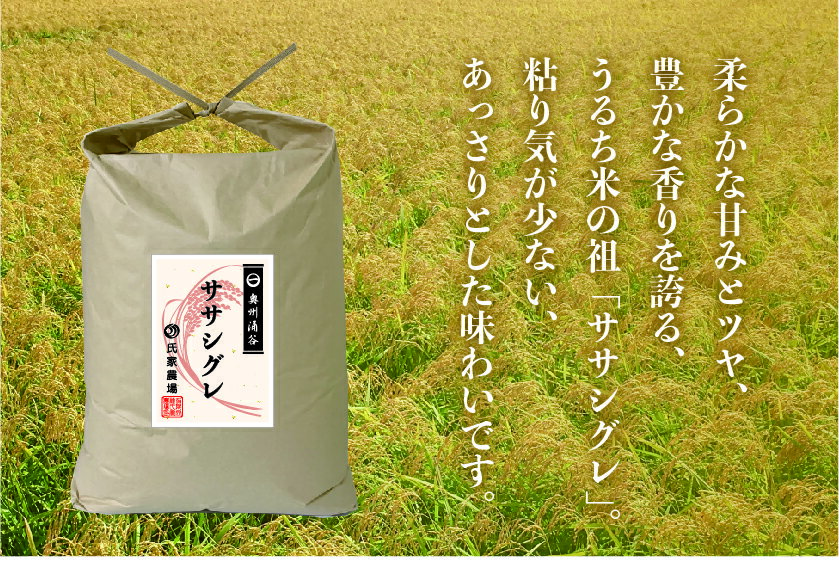 【ふるさと納税】令和5年産 氏家農場の幻のお米「ササシグレ」5kg【 精米 白米 ご飯 栽培期間中 化学肥料 農薬 不使用 希少 主食 おにぎり お弁当 炭水化物 幻のお米 甘み あっさり 】※2023年10月中旬頃より順次発送予定