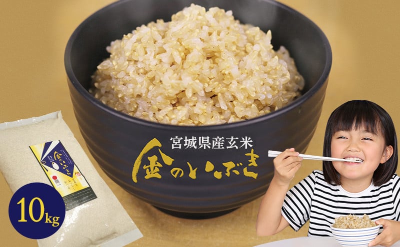 金のいぶき玄米 10kg[ お米 栄養 豊富 ご飯 簡単 炊飯 玄米食 専用 胚芽 3倍 プチプチ 食感 もっちり 甘み おにぎり お弁当 ]