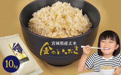 金のいぶき玄米 10kg【 お米 栄養 豊富 ご飯 簡単 炊飯 玄米食 専用 胚芽 3倍 プチプチ 食感 もっちり 甘み おにぎり お弁当 】