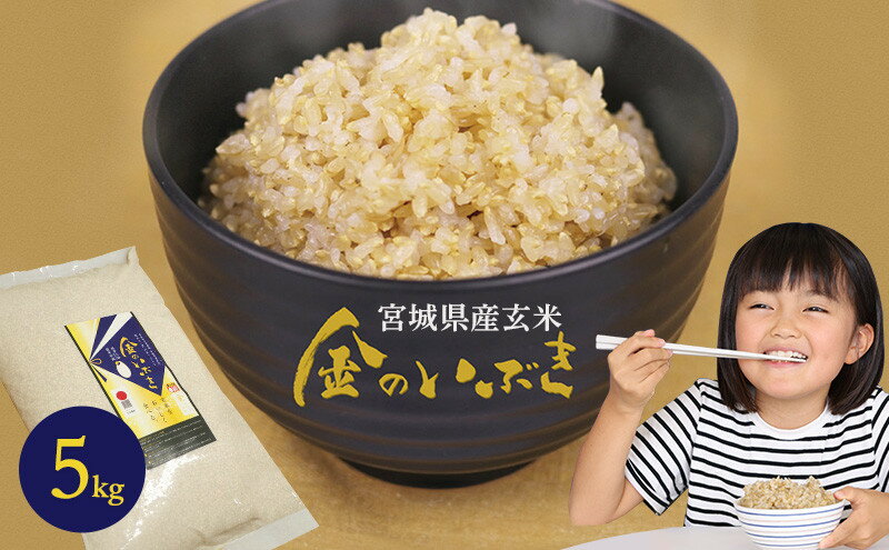 金のいぶき玄米 5kg【玄米・お米】