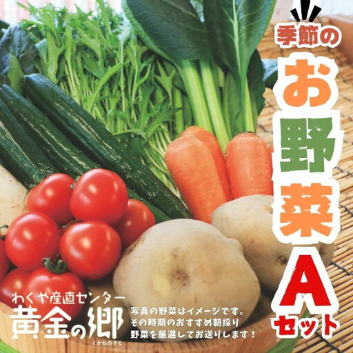 【ふるさと納税】黄金の郷 季節のお野菜 お楽しみAセット / 野菜 やさい セット 詰め合わせ 旬 新鮮 産地直送 朝採れ ※配送不可地域あり 【ふるさと納税】黄金の郷 季節のお野菜 お楽しみAセット / 野菜 やさい セット 詰め合わせ 旬 新鮮 産地直送 朝採れ ※配送不可地域あり
