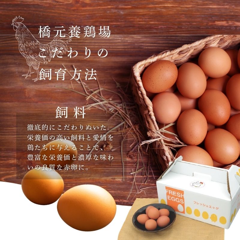 【常温】国産うずら卵 1号缶 (天狗缶詰/缶詰) 業務用
