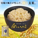 【ふるさと納税】 玄米 米 金のいぶき 5kg 10kg 選べる容量 | 米 お米 こめ コメ 玄米 ご飯 ライス 産地直送 数量限定 ブランド米 宮城県産 送...