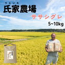 【ふるさと納税】 米 お米 令和6年産 氏家農場の幻のお米 ササシグレ 5kg ☆栽培期間中は化学肥料・農薬不使用☆ 数量限定 米 お米 こめ コメ 白米 ご飯...