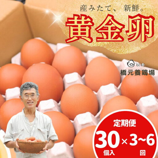 【ふるさと納税】卵 たまご 定期便 産みたて新鮮卵 30個入り 3回 6回 卵 たまご 玉子 鶏卵 新鮮 濃厚 生卵 赤玉たまご 目玉焼き オムレツ 健康 産地直送 定期便 送料無料 ※沖縄・離島への配送不可 【ふるさと納税】卵 たまご 定期便 産みたて新鮮卵 30個入り 3回 6回 卵 たまご 玉子 鶏卵 新鮮 濃厚 生卵 赤玉たまご 目玉焼き オムレツ 健康 産地直送 定期便 送料無料 ※沖縄・離島への配送不可