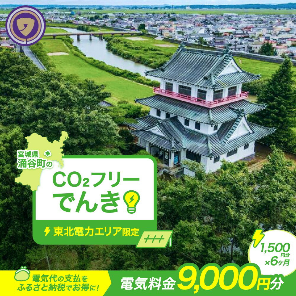 【ふるさと納税】 涌谷町CO2フリーでんき 1,500円×6ヶ月コース【※※お申込み前に申込条件を必ずご確認ください】 東北電力 電気 電力 東北 電気代 電気料金 青森県 岩手県 宮城県 秋田県 山形県 福島県 新潟県 でんき
