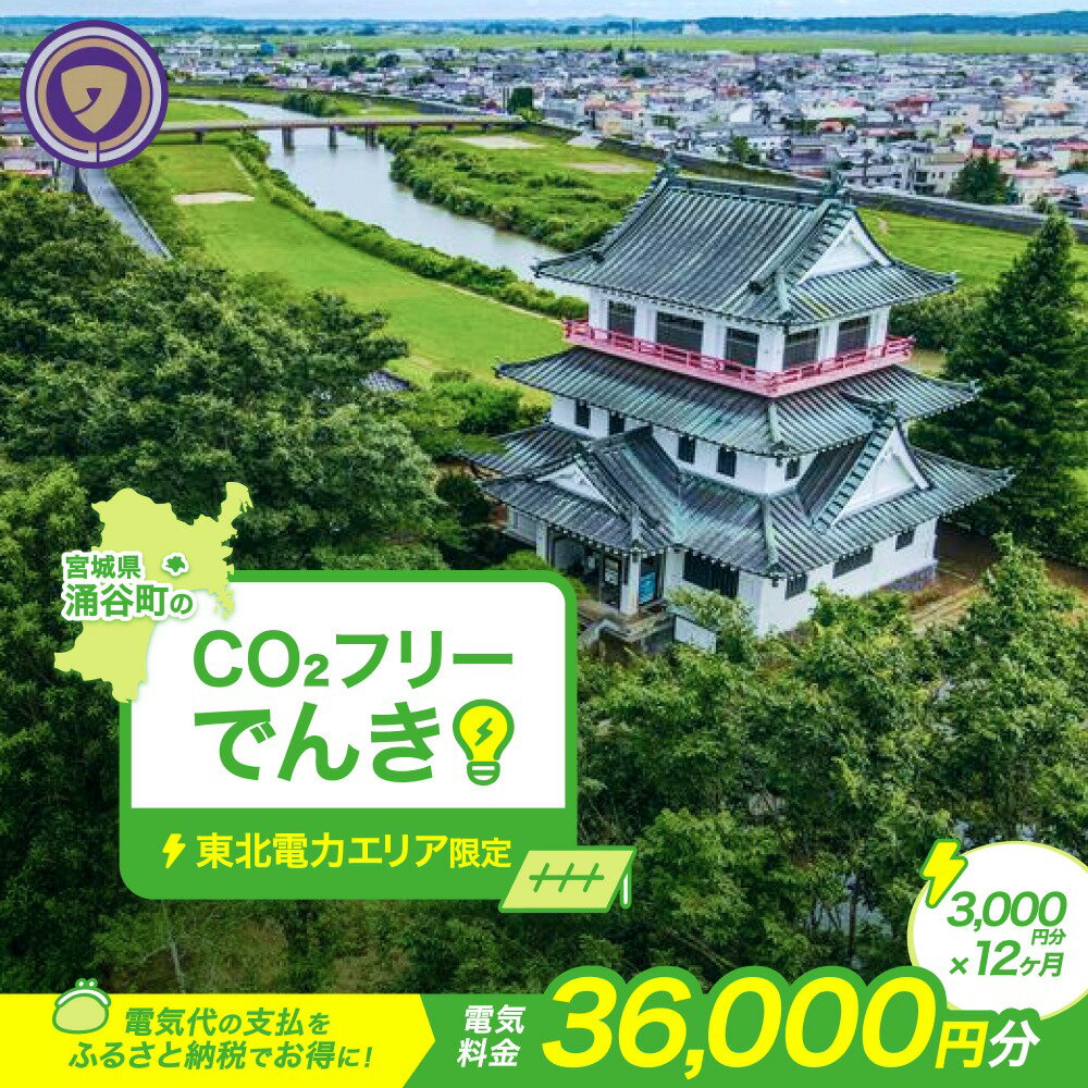 【ふるさと納税】 涌谷町CO2フリーでんき 3,000円×12ヶ月コース【※※お申込み前に申込条件を必ずご確認ください】 東北電力 電気 電力 東北 電気代 電気料金 青森県 岩手県 宮城県 秋田県 山形県 福島県 新潟県 でんき
