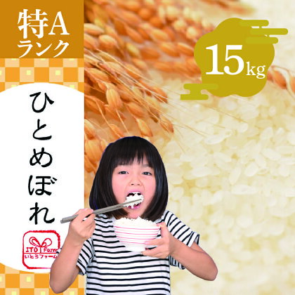 いとうファームの令和5年産「ひとめぼれ」15kg　【 お米 精米 白米 ブランド米 銘柄米 ご飯 おにぎり お弁当 和食 産地直送 】　お届け：2023年10月下旬から順次発送