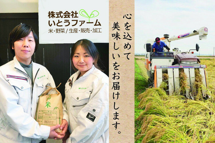 米 お米 こめ 白米 ご飯 ライス 産地直送 数量限定 ブランド米 銘柄米 涌谷町産　【ふるさと納税】≪新米予約≫ いとうファームの 令和8年産 だて正夢 5kg 10kg 15kg 20kg | 米 お米 こめ 白米 ご飯 ライス つやひめ 産地直送 数量限定 ブランド米 銘柄米 送料無料 ※2026年11月より順次発送予定