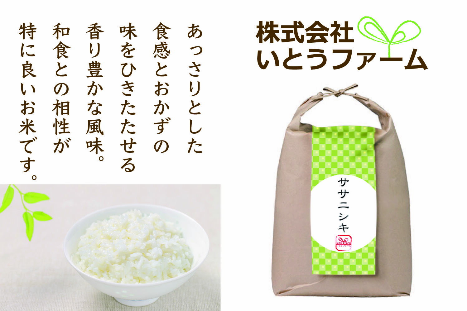 【ふるさと納税】いとうファームの令和5年産「ササニシキ」15kg（5kg×3袋）　【 お米 精米 白米 ブランド米 銘柄米 ご飯 おにぎり お弁当 和食 産地直送 】　お届け：2023年10月下旬から順次発送